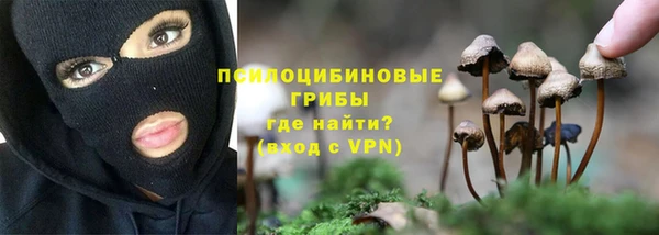 гидропоника Абаза
